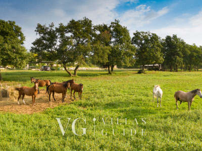 Villa Paradiso Garten und Außenbereich