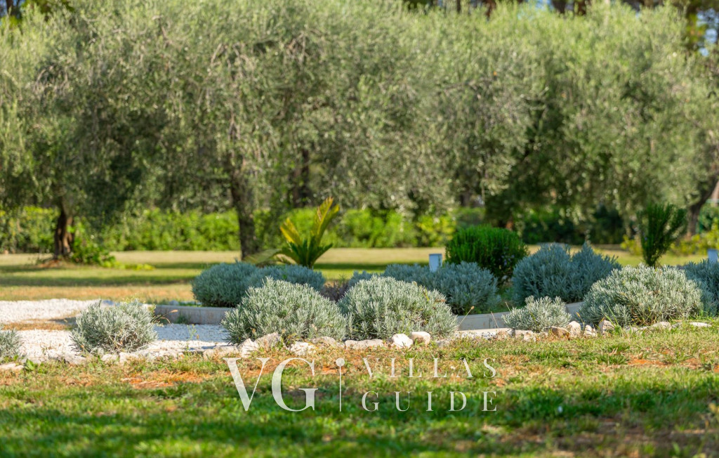 Villa Oliveti Contenuto aggiuntivo