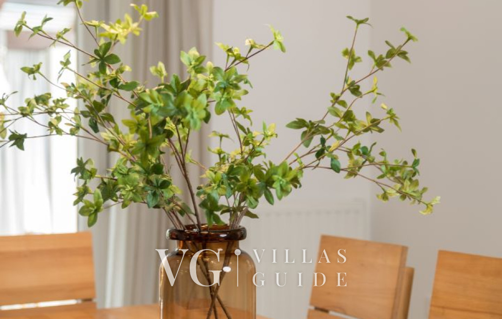 Villa Sušanj Kitchen