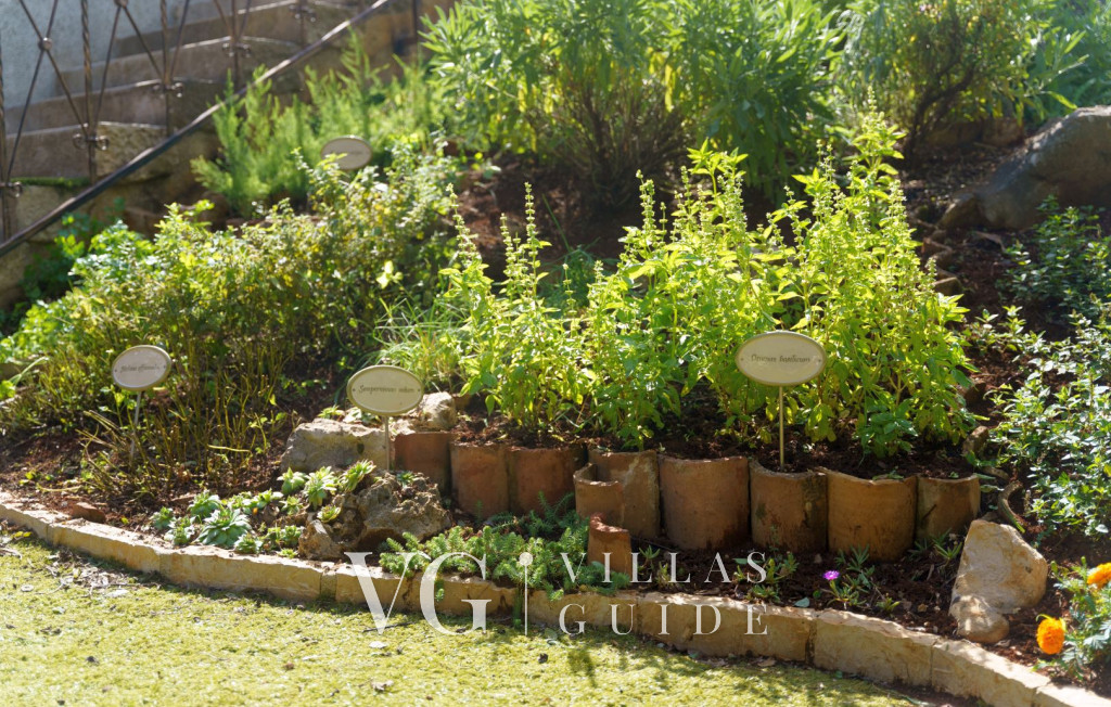 ECO Villa Baldaši Dvorište i vanjski dio objekta