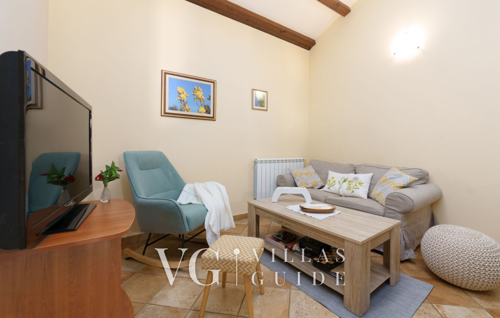 ECO Villa Baldaši Dnevni boravak