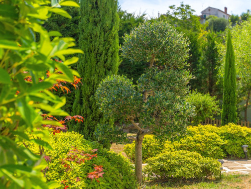 Casa Garden Contesses