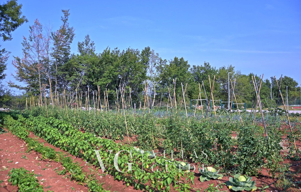 Villa Nevia Contenuto aggiuntivo