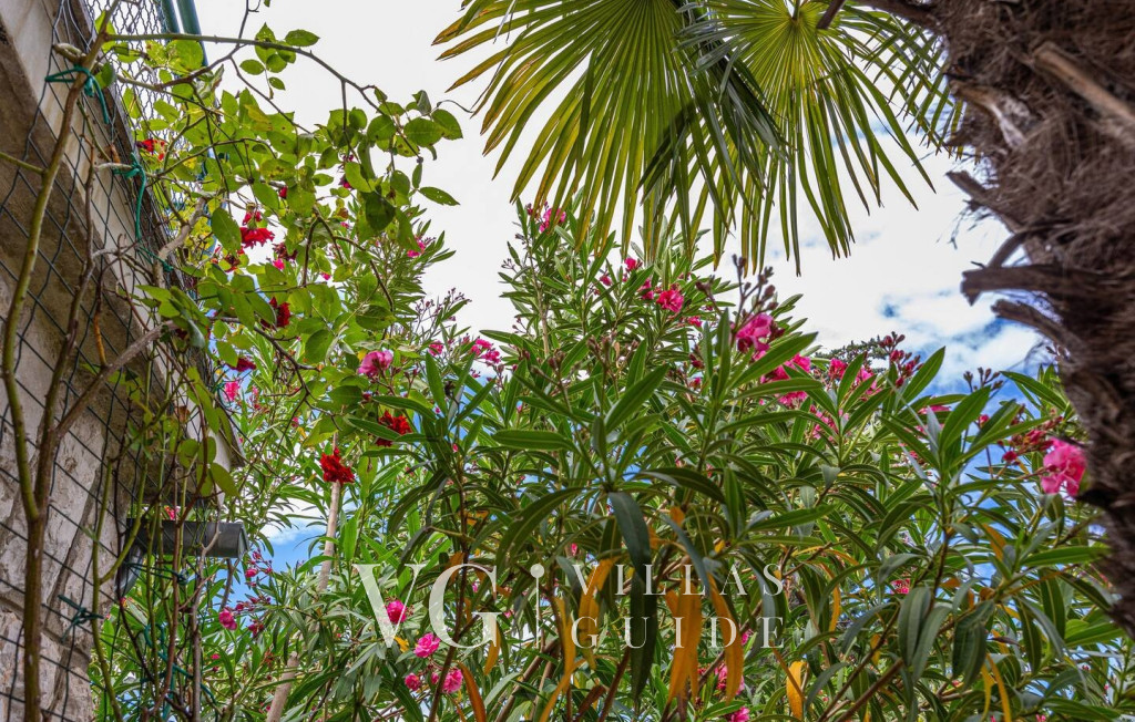 Villa Ana - Crikvenica Garden and property exterior