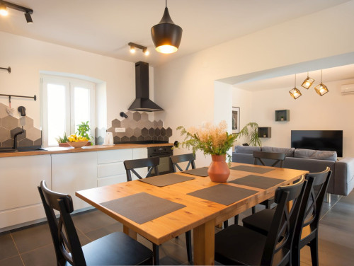 Villa Slivari Istria with pool