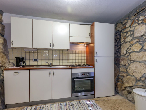 Stone House Zijavica with pool