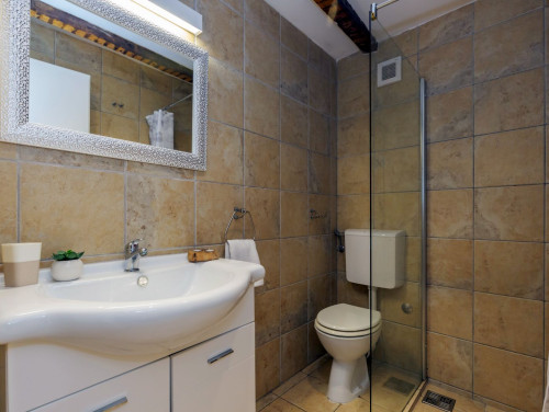 Stone House Zijavica with pool