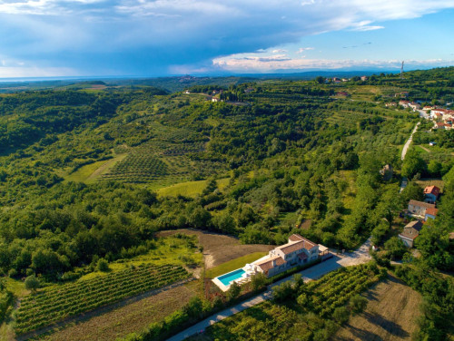 Villa Oliva - Buje