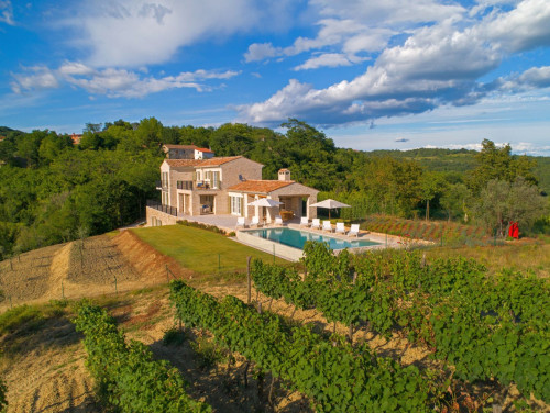 Villa Oliva - Buje