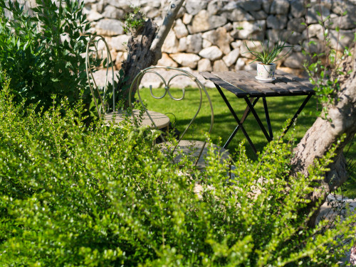 Cypress & Olive House