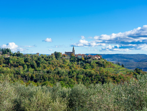 Apartment Groznjan I