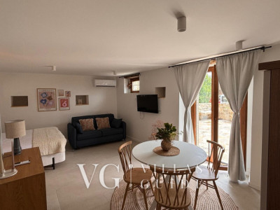 Apartment Groznjan I