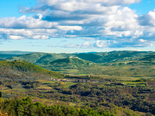Apartment Groznjan III