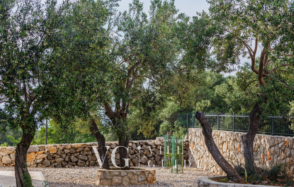 Villa Lun T - Island Pag Microposizione