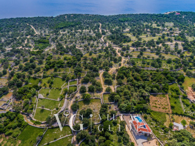 Villa Lun T - Island Pag