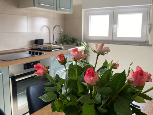 Apartment Jozephine 3