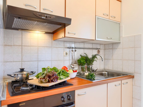 Apartman Nina - Medulin