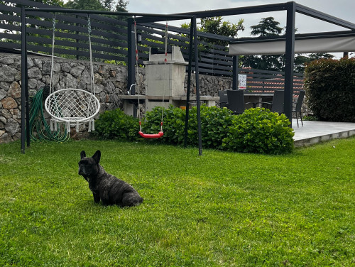 Villa Angello pool&whirpool&pet friendly