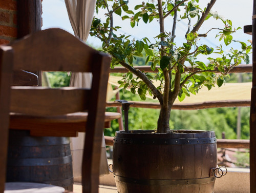 Holiday Home Blackrock Siscia