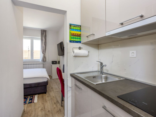 Studio Apartment Estate 3 - Island Krk