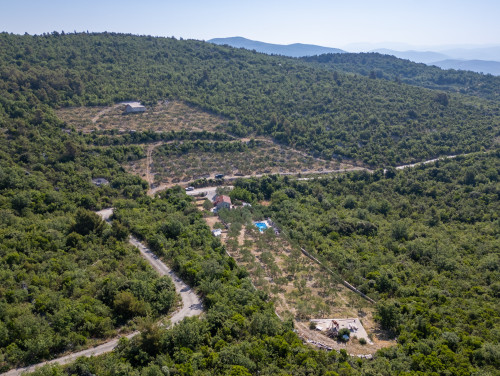 Country house Maslina