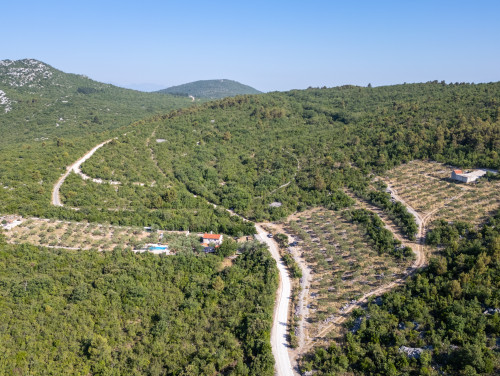 Country house Maslina