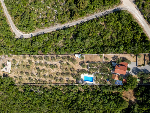 Country house Maslina