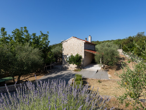 Country house Maslina