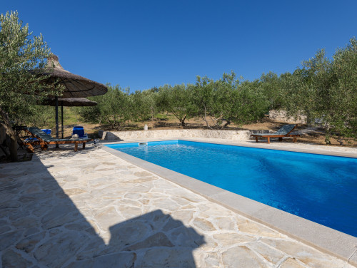 Country house Maslina