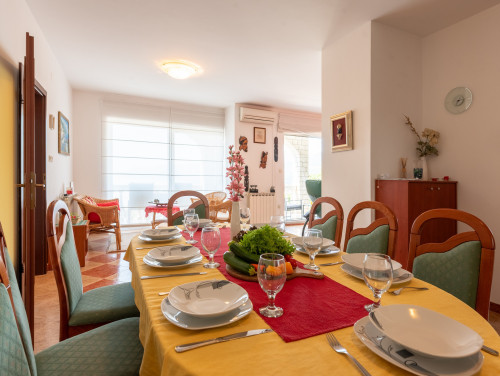 Apartman City view 1