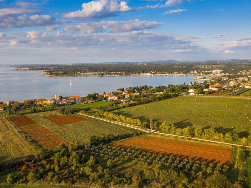 B&M Apartments Novigrad