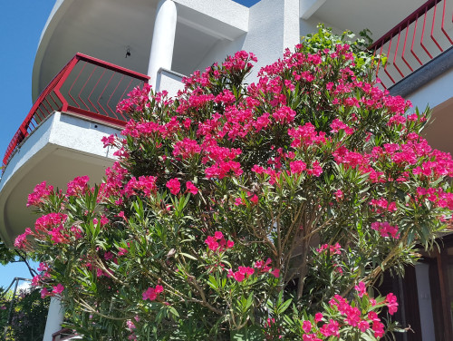 Melone Apartman 3 Senj Sveti Juraj