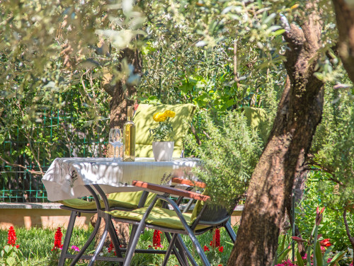 Apartman studio Oliva