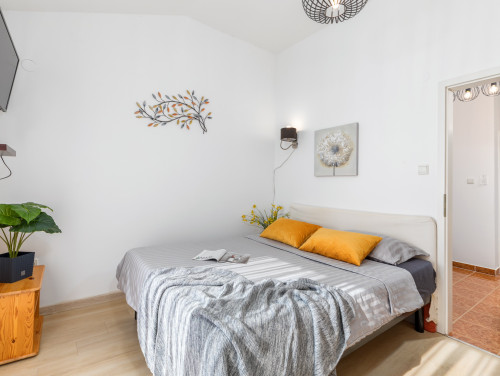 Apartman Amelia - Medulin