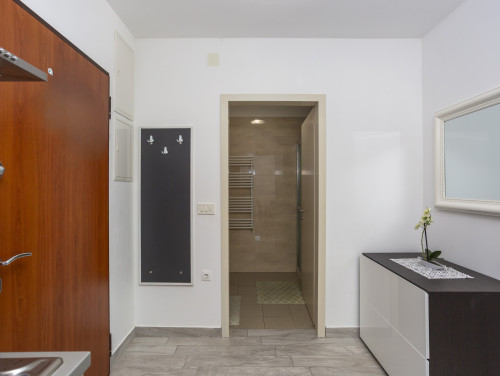 Just for You apartment with terrace