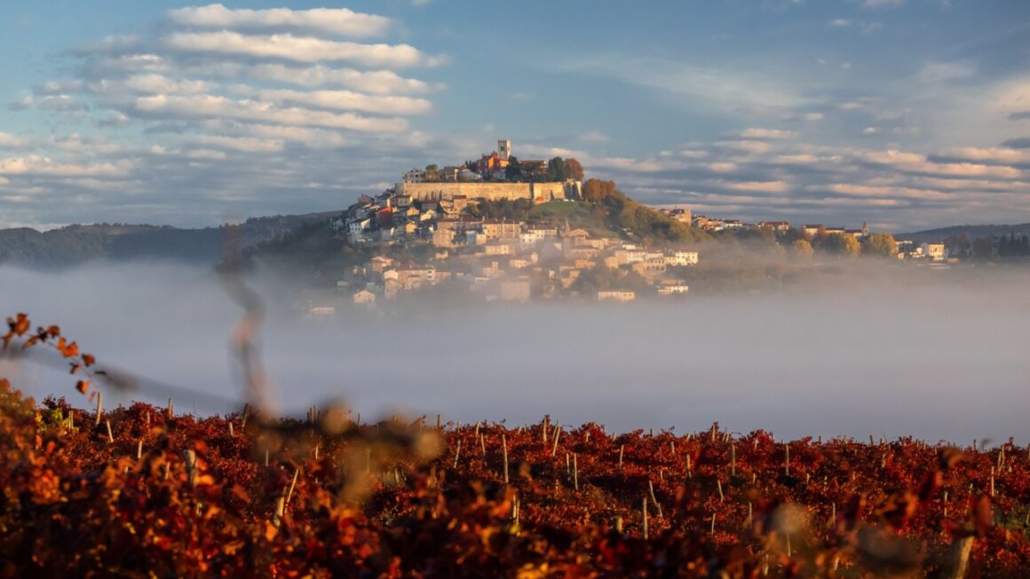 Herbst in Istrien – das Beste aus Gastronomie und Wein