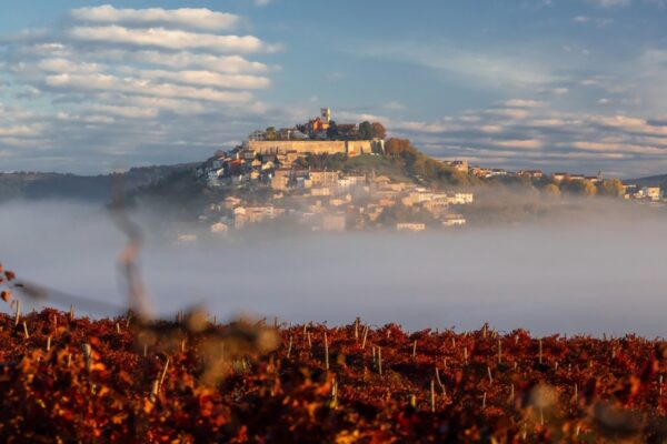 Autumn in Istria – a guide to the most appealing food and wine events