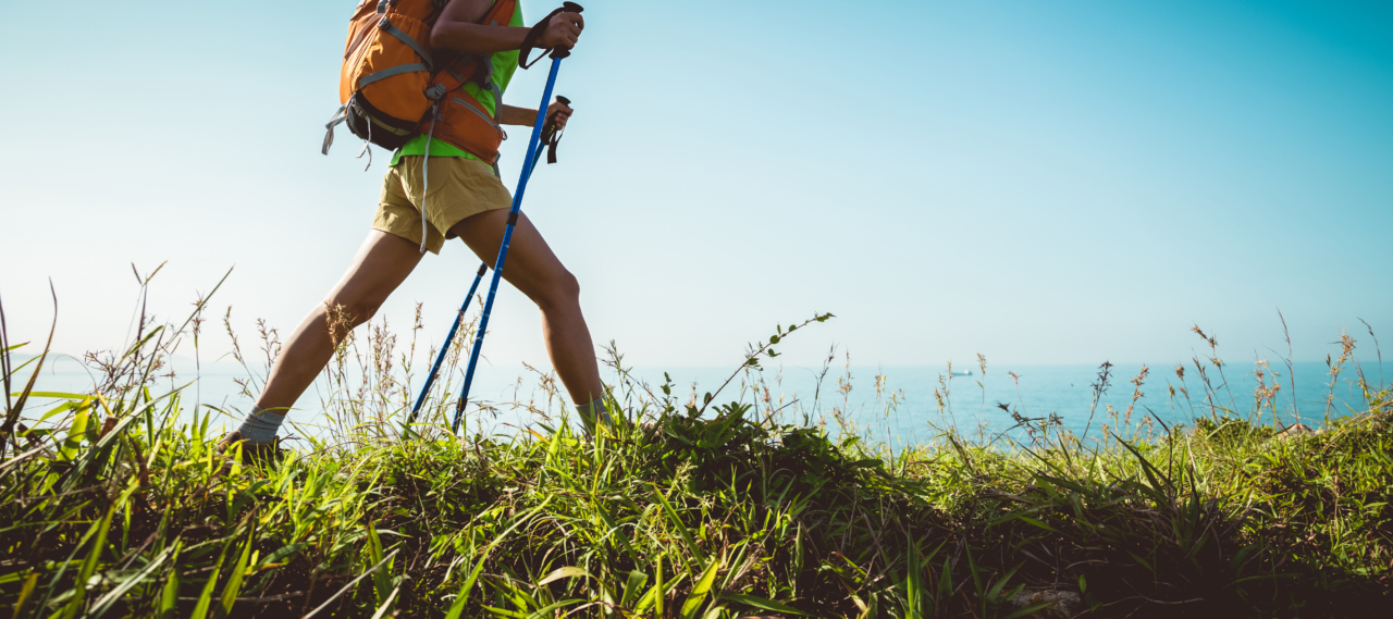 Proljeće u Istri: događaji i aktivnosti