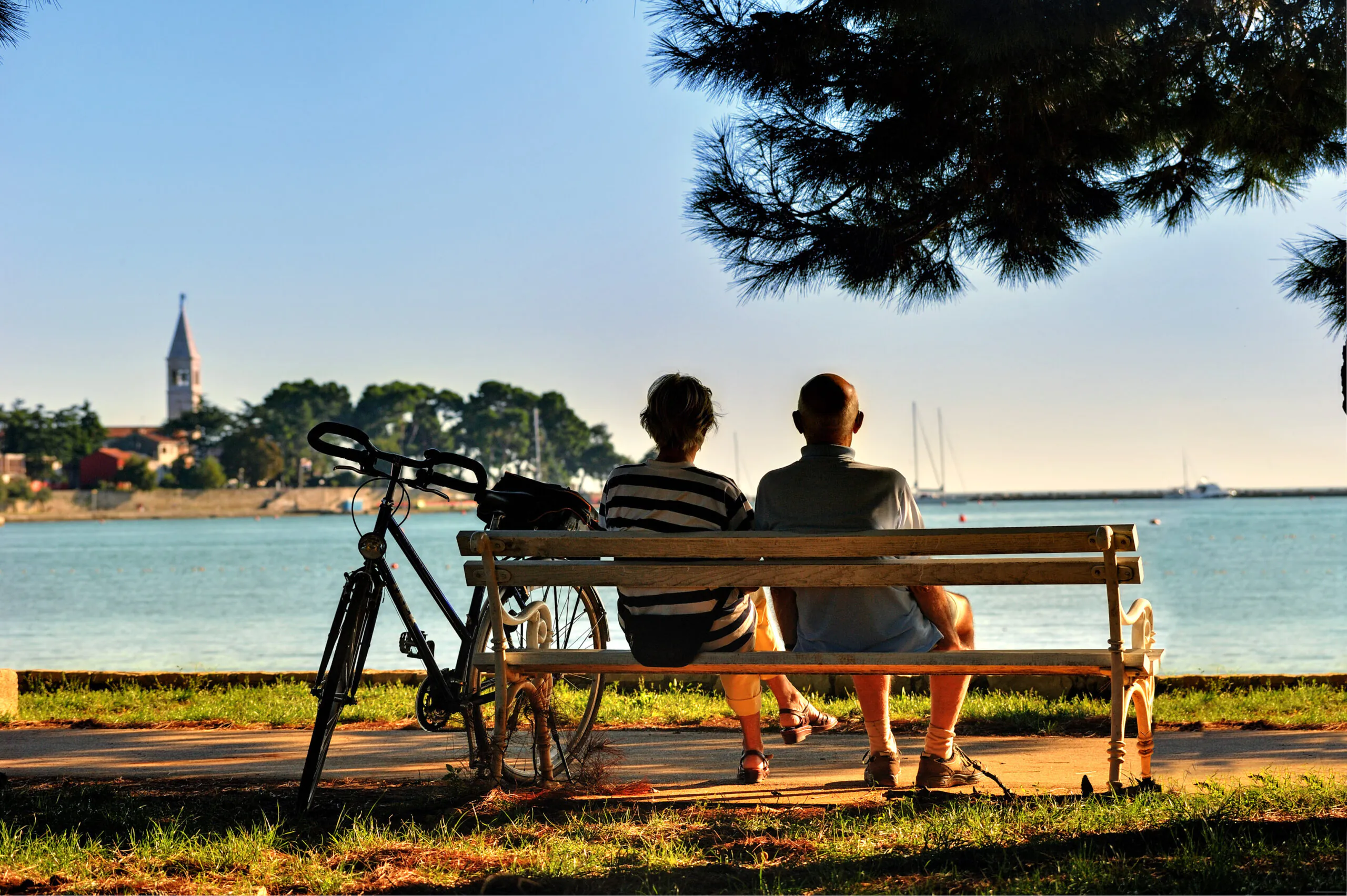 Local insights: discover Novigrad