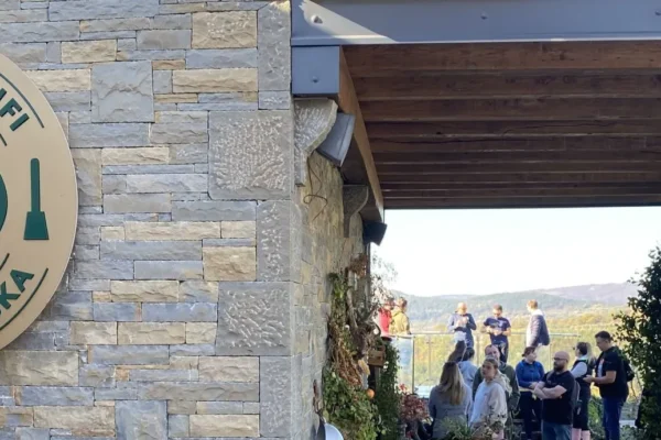 Autumn in Istria – truffle hunting