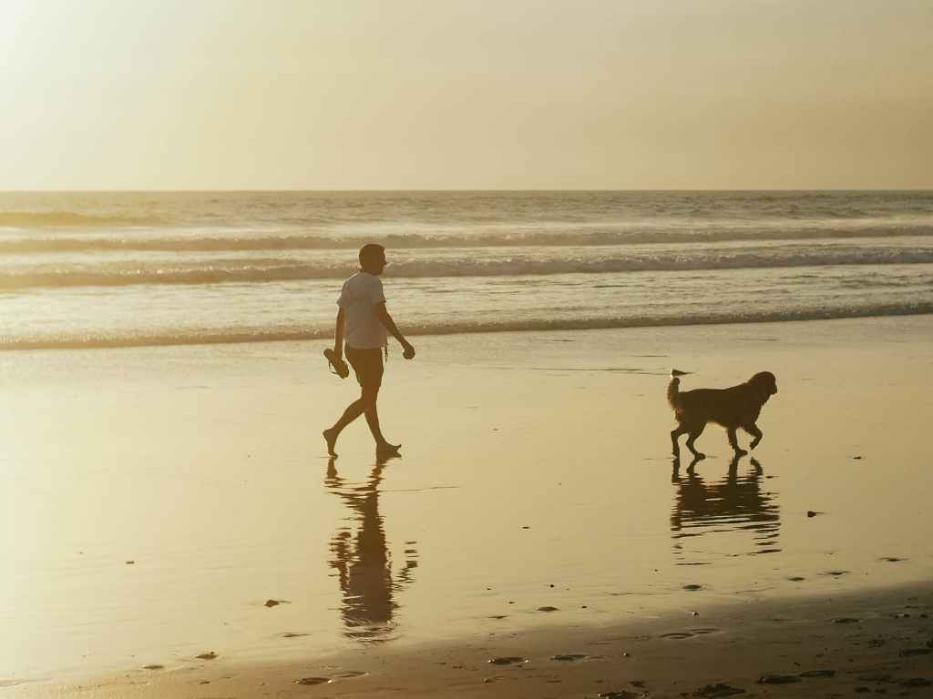 dog-and-owner-at-the-beach