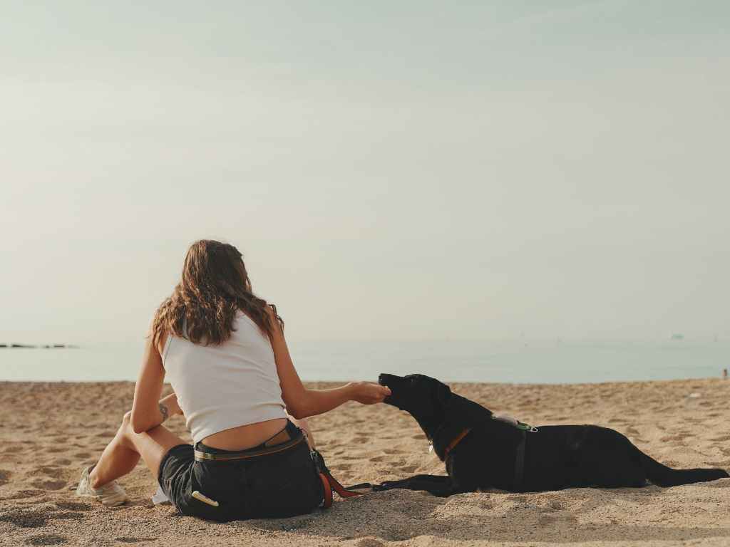 dog and owner on the beach