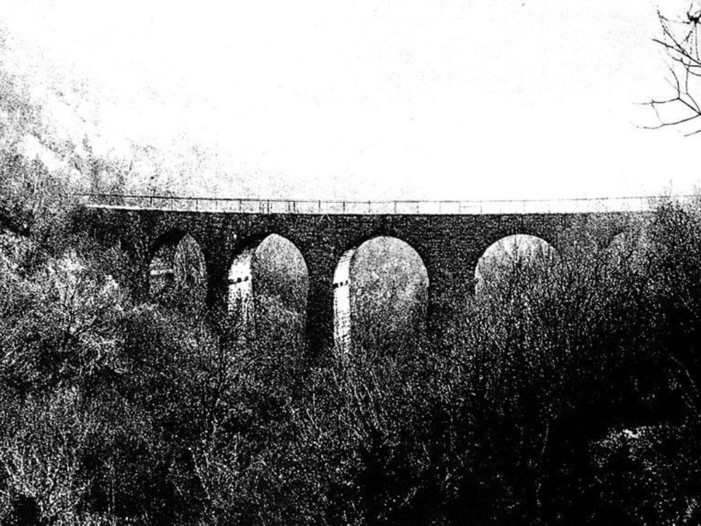 one of the bridges built for parenzana railway