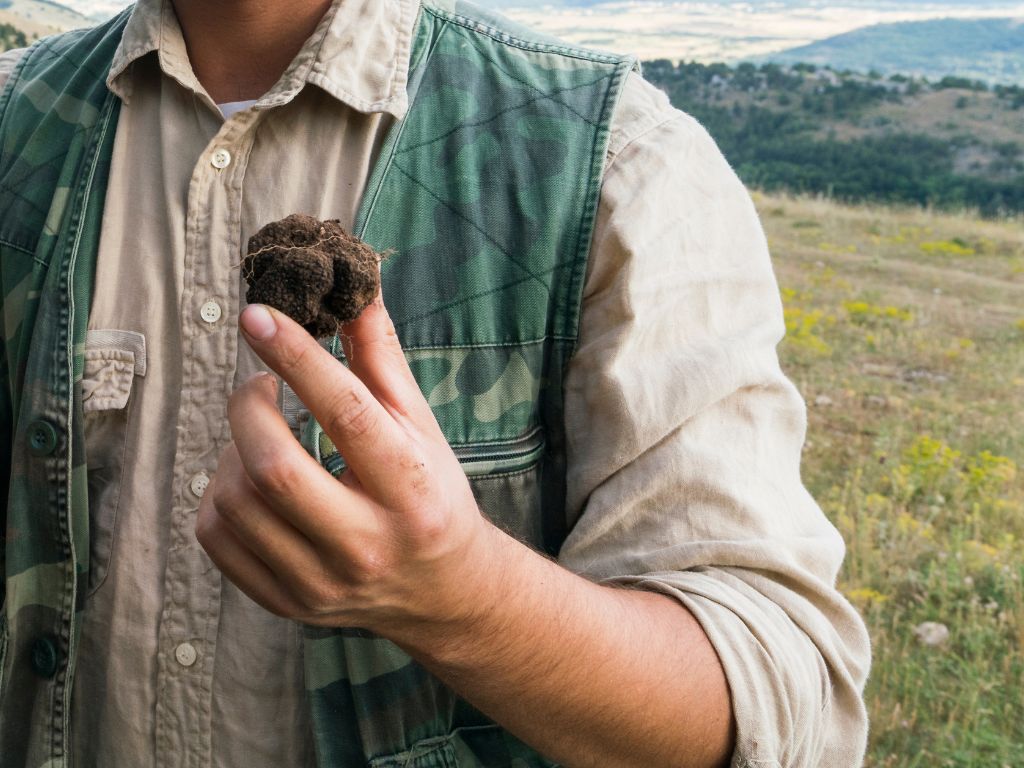 man holding a truffle